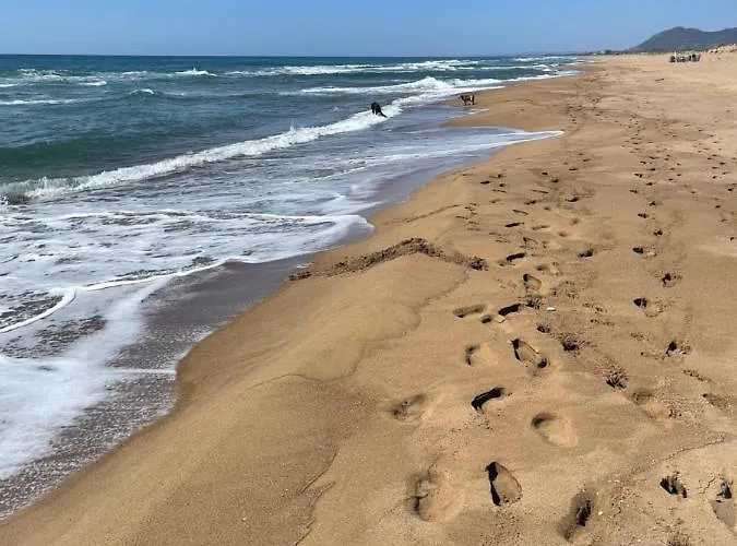 Miterra Cozy * Andritsaina